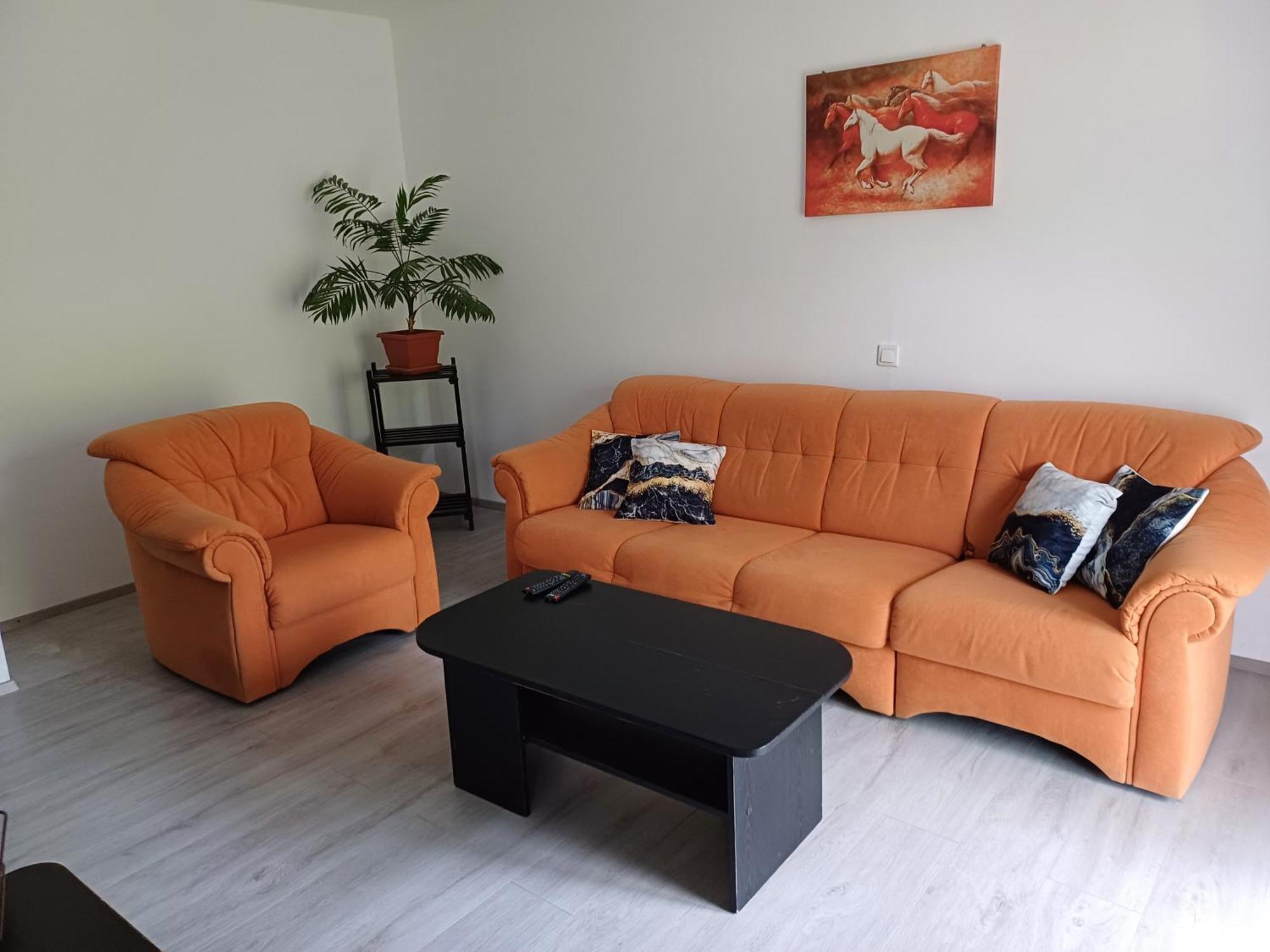 Apartma Ginga Osilnica エクステリア 写真